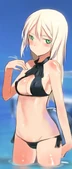 HeinrikeSwimsuit2.jpg (55 KB)