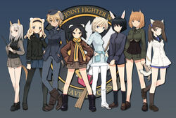 502nd Joint Fighter Wing | World Witches Series Wiki | Fandom