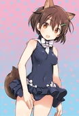 Hikari Costume Swimsuit Skirt.jpg (286 KB)