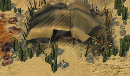 Beduinoutpost