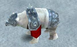 Polar Bear