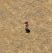 A Crossbowman in the desert.