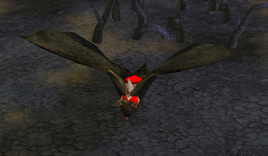 Bat