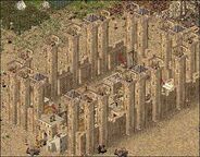 Caliph 1 480