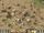 18. A Barren Land