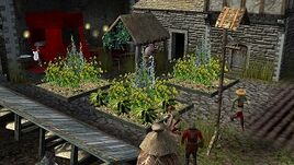 Vegetablegarden