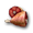 Meat.PNG