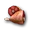 Meat