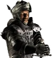 The wolf