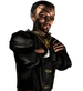 The snake