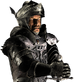 The wolf