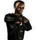 The snake