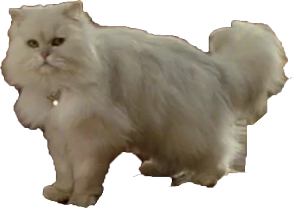 snowbell cat stuart little