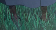 Sophie Hatter's Boots