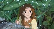 Arrietty under rain