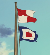 Umi flags