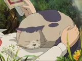 Niya