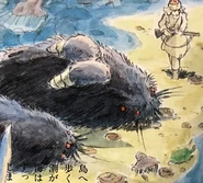 In comparison to Shuna