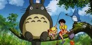 Totoro Picture