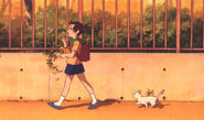 Yuki as a stray kitten, following Haru.