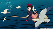 Kiki flying with birds
