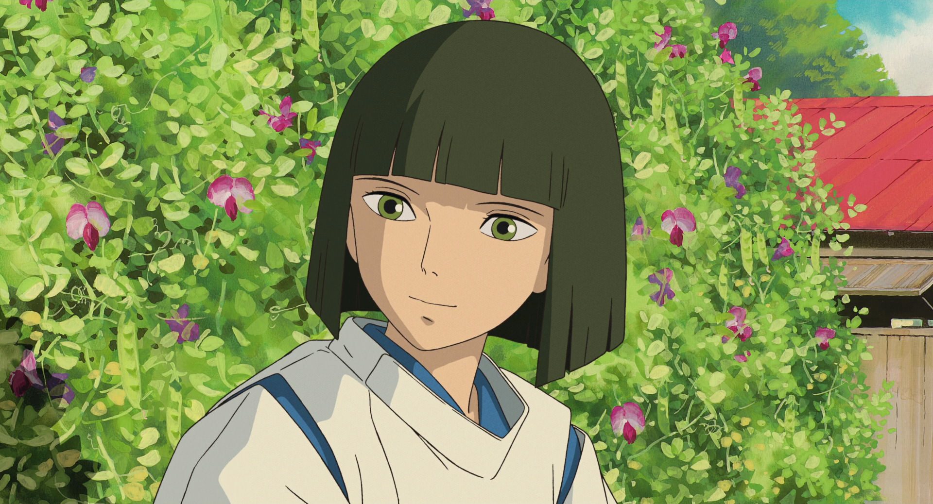 Haku | Ghibli Wiki | Fandom