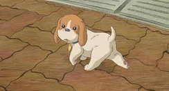 El gran día de Koro