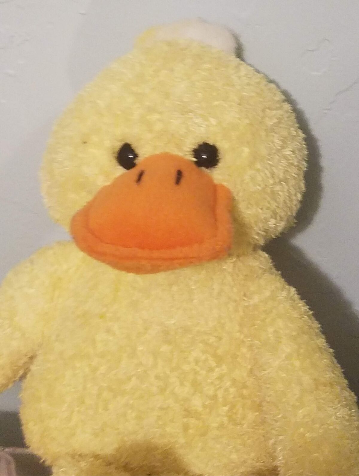 Big Duck | Stuffed Season Wiki | Fandom