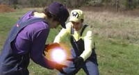 Wario Waluigi Fireball