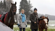 Folge 1231-1.jpg (121 KB) Aufgrund seines Unmuts über Eva und Markus hat Robert mit der Hupe versehentlich einen Reitunfall von Michael verursacht und fühlt sich schuldig.