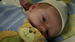 Folge 3067-3