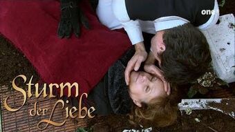 Konstantin Riedmuller Sturm Der Liebe Wiki Fandom