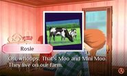 Rosie's cows, Moo and Mini Moo