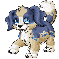 Ruffie.png