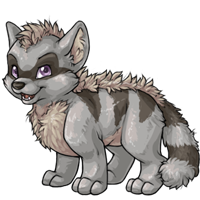 Silver Terracoon