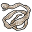 Serpent Skin