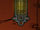Root lamp.png