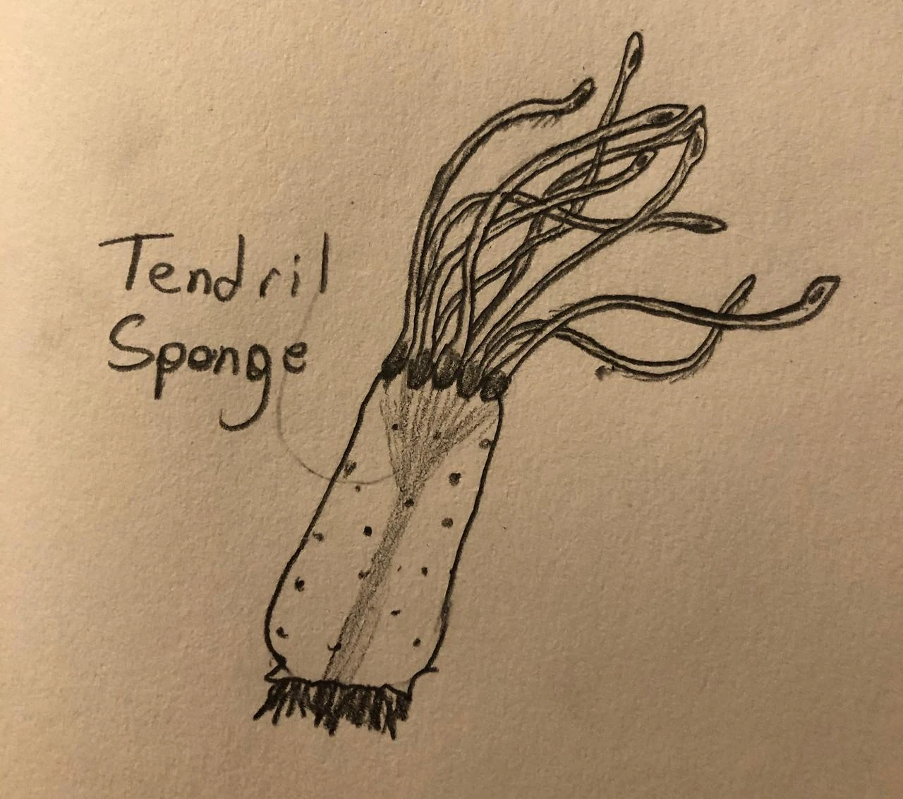 Tendril Sponge | Subnautica Fanon Wiki | Fandom