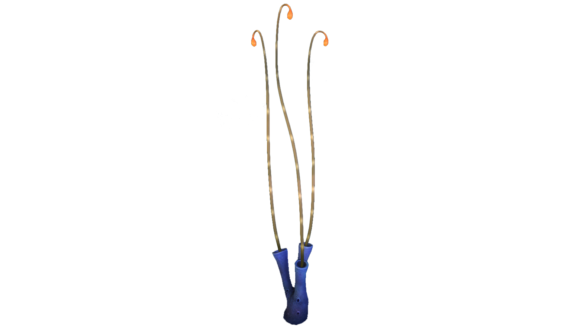 Blue Coral Tubes Fauna.png