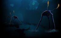 Background 03 Sea Treaders