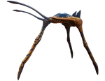 Meeresläufer