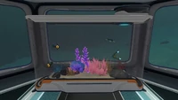 Aquarium with some edible fauna inside