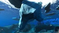 View of the underside of an iceberg