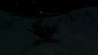 At night