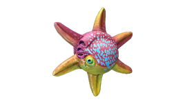 Spinner Fish Fauna