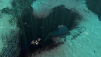 Une entrée vers les Grottes des Plateaux herbeux