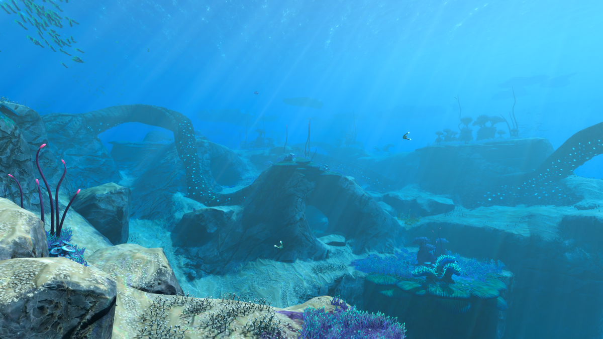 Где находятся подводные острова в subnautica Shallow Twisty Bridges Subnautica Wiki Fandom