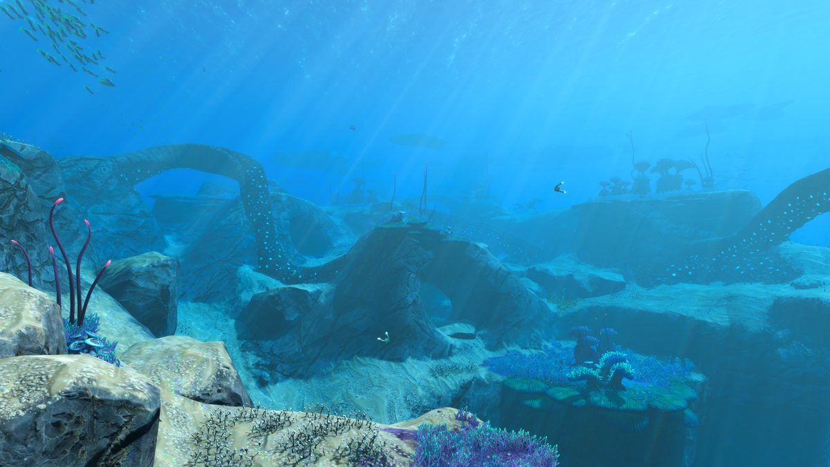 Где найти образец водоросли в subnautica