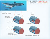 Squidshark jet gill details - by Alex Ries