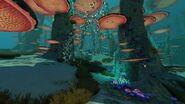 The seafloor of the mushroom forest